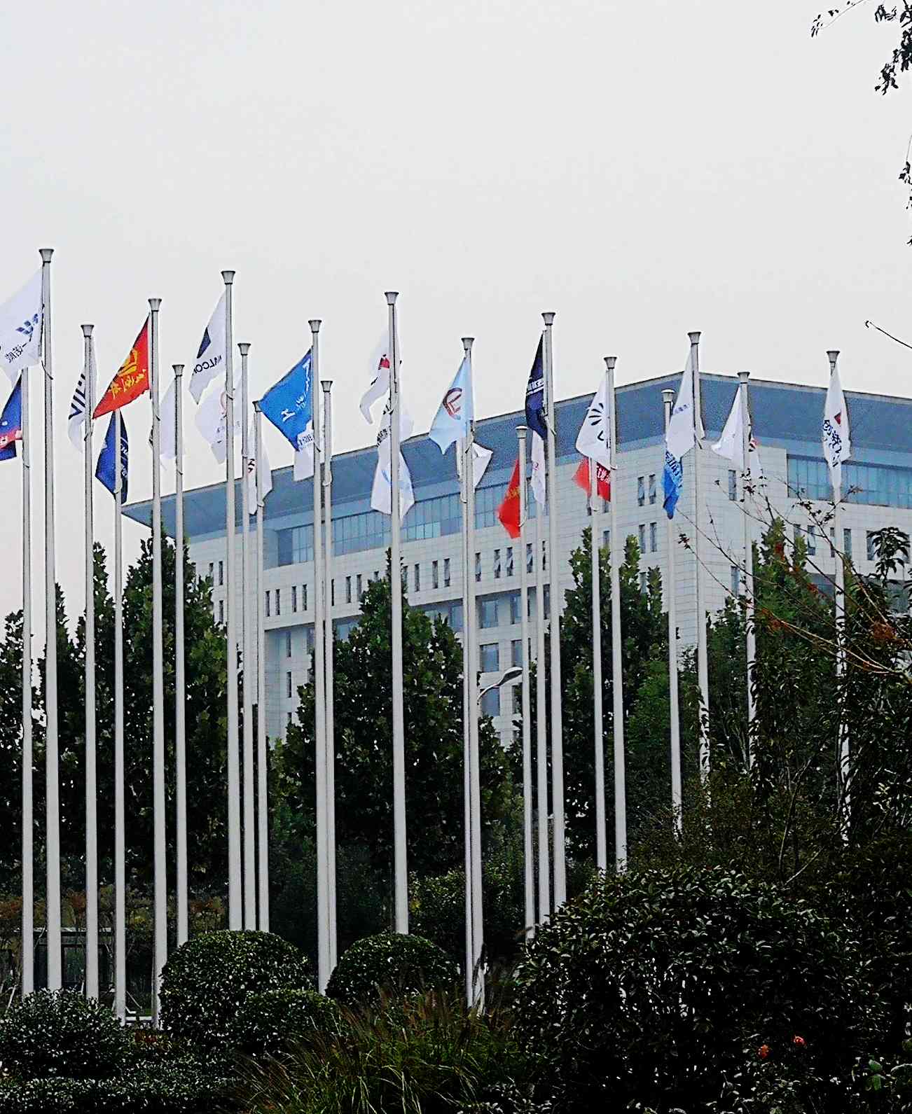 鳳凰涅槃，榮耀淄博